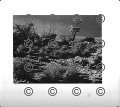 BOOK PLATE B&W Photo MORLEY BAER Fort Independence Valley / Owen’s River 9X9.5″