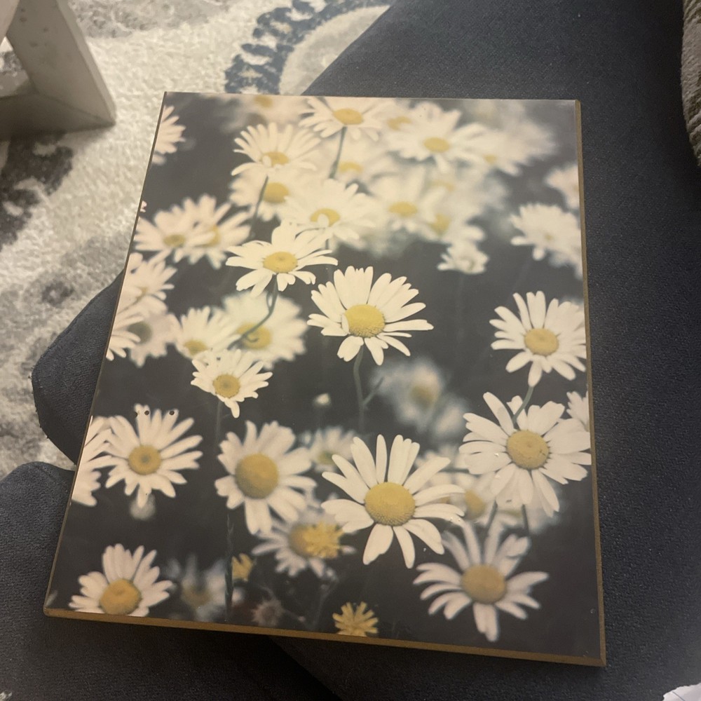 1973 Vintage Daisies Photo Print – Fine Art Plaques Studio One