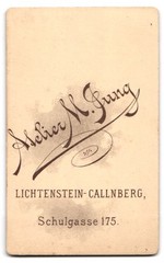 Photograph M. Jung, Lichtenstein-Callnberg, Schulgasse 175, portrait of a young