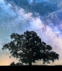 Milky Way Galaxy, 21×16”