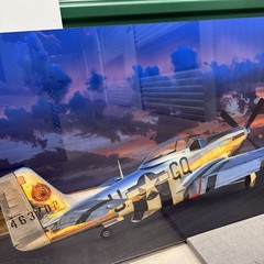 Peter Lik «Velocity» Airplane Aviation HUGE 6.5 Feet (2M) Picture with COA