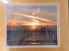 New Emmitt Phalen Sunset Geese Flock Over Water Framed Photograph Print