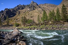 Salmon River Manning Crevice Rapid Idaho Landscape Photo Poster Print SR24
