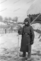 Negative-Yukhnov-Kaluga-Russia-34th Inf. Div-Winter-Clothing-Fur Hat-1942-154
