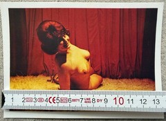 Vintage 1980s Pin Up Photo – Retro Art Photo – Rare Collection