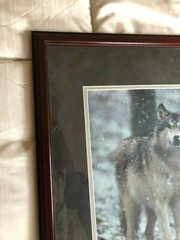 «WOLF EARLY WINTER SNOW» OPEN EDITION FRAMED PHOTOGRAPH BY CHET DOWELL