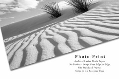 White Sands Photography Print: New Mexico Black & White Yucca Plant Desert Photo
