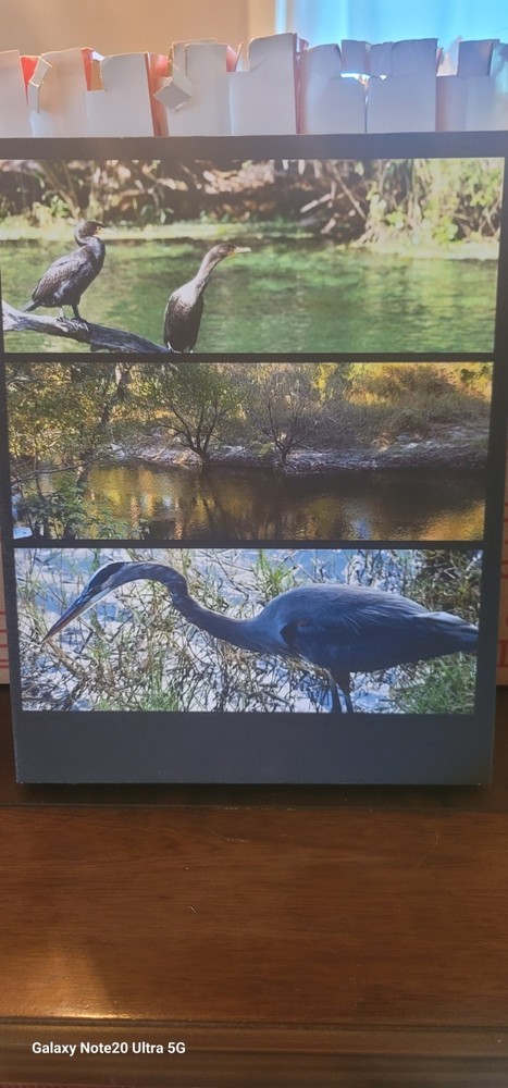 11x14in Canvas Print For Sale