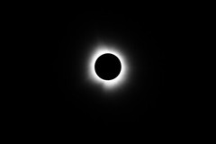 The 2024 Great American Eclipse Violet Purple Monochromatic Photograph