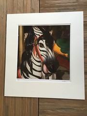 BRUCE BLUM SIGNED COLOR Photo Print (16″ X 20″)-«Zebra «