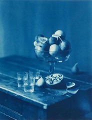 Framed Editioned Cyanotype Photography by John Dugdale