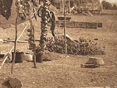 Edward S. Curtis “In Camp” c1908 Original Photogravure on Japanese Tissue 7×5
