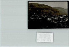 40055888 – 5584 Bullay Local View