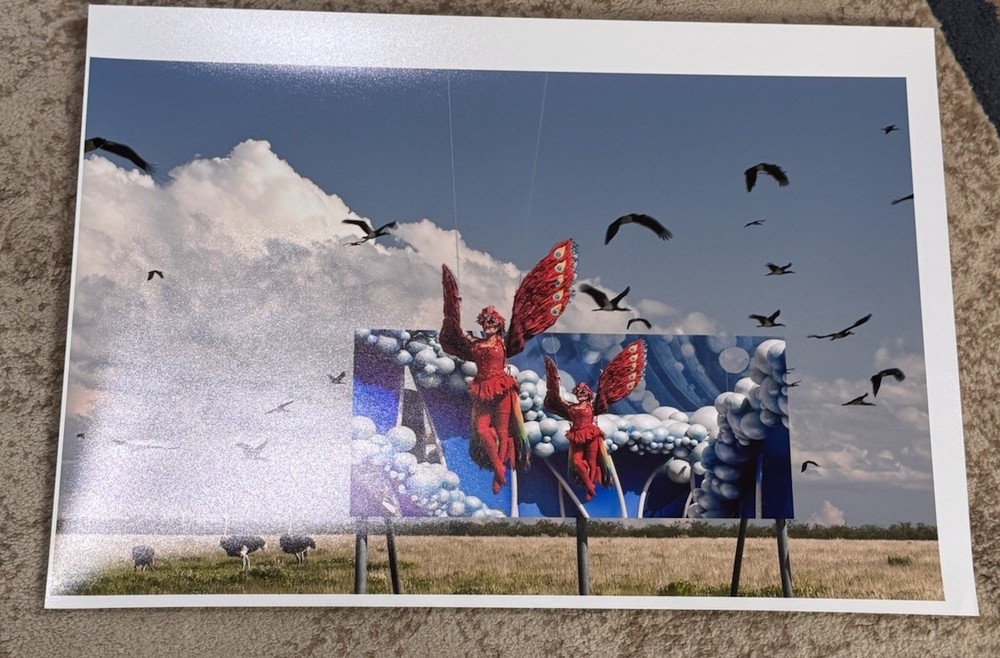 ORIGINAL SIGNED FINE ART PHOTOGRAPH BIG BIRDS AFRICA & USA ESTATE FIND NEW YORK