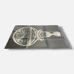 Sylvie Bussières «Sèrie Inutiles de Cristal» Foto No.3 Photogram Mural Wall Art