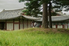 1$ Digital Image Wallpaper – Korea Cats Series: Royal Palace Guardian Feline