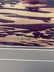 Thomas Mangelsen ~FIRE AND ICE ~ Wager Bay Ltd Edition Photograph 151/950 Signed
