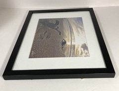 SIGNED Photograph Sea Turtles on Beach Chris Doherty Matted & Framed