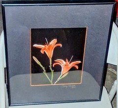 Cibachrome ART PRINT Signed & Framed Print Tony Festa RARE