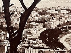 2 Album Photo by Giacomo Brogi circa 1870 Naples Napoli Italy 25x19cm (21+22)