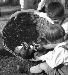 HART village, Austria, children w rabbits, by Eduard PEZDIKA, vintage fine art n
