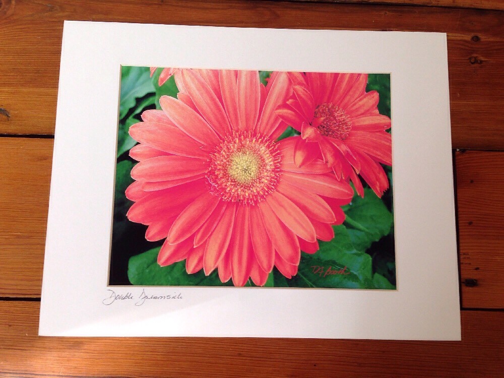 Modern Abstract Dreamy Gerbera Daisy Digital Drawing Print Pro Matted Deb Booth