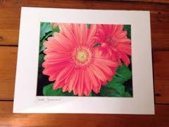 Modern Abstract Dreamy Gerbera Daisy Digital Drawing Print Pro Matted Deb Booth
