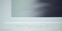 Jeff Ripple Signed Photograph of Misty Florida Cypress Tree Landscape 22×32″
