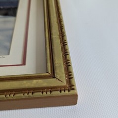King Wu Signed And Numbered – 9×11 Framed Color Photo – Snow Covered Red Berries