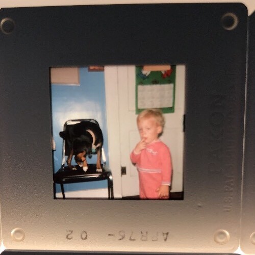 Beautiful Vintage 35mm Slides Lot Of 40 Family Life Vacation Cars Original Artsy