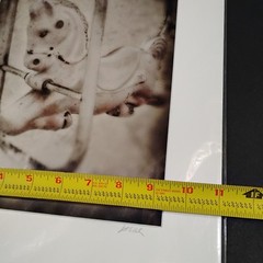 Custom Matted Photography by Scott Wheeler. Blk/White Rocking Horse
