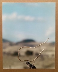 JEAN-LUC MYLAYNE limited edition photograph – FOUR Portfolio (2022)