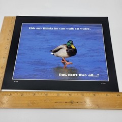PHOTOGRAPHY Art MEME Prints Lot 3 Humorous Animals Nature Photos – HW029