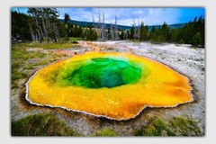 Morning Glory Pool in Yellowstone National Park, Wyoming, Photography Prints