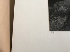 John Sexton signed photograph-White Branch, Yosemite 10×13 on 16×20 mat