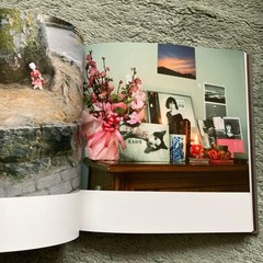 Rare Not For Sale Nobuyoshi Araki Tokyo Bojo Guimet Museum Catalog Photobook