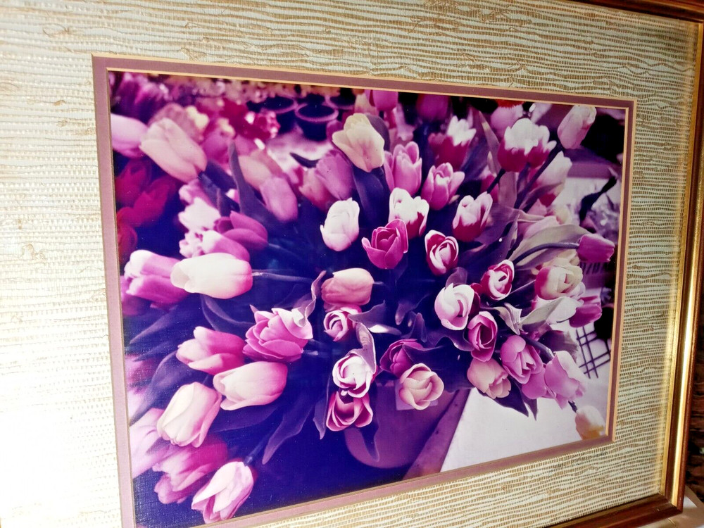21×17 Vintage Art Photograph TULIPS BY JULIAN E. CARABALLO