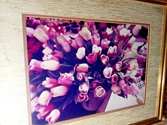 21×17 Vintage Art Photograph TULIPS BY JULIAN E. CARABALLO