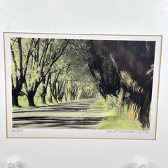 William Thayer Shady Lane Signed Art Photo Hand Colored Matted 6/250 in Plastic