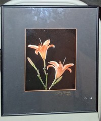 Cibachrome ART PRINT Signed & Framed Print Tony Festa RARE