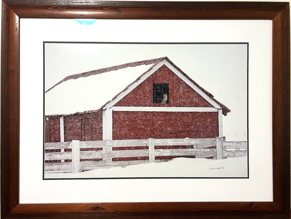 Thomas D. Mangelsen “Shelter from the Storm” Signed #209/2500 Framed Owl Barn