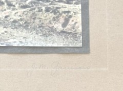 Lg VTG J.M. Garrison Hand Tinted Oil Color Photo Palm Canyon 15.5”x21.5” VGC