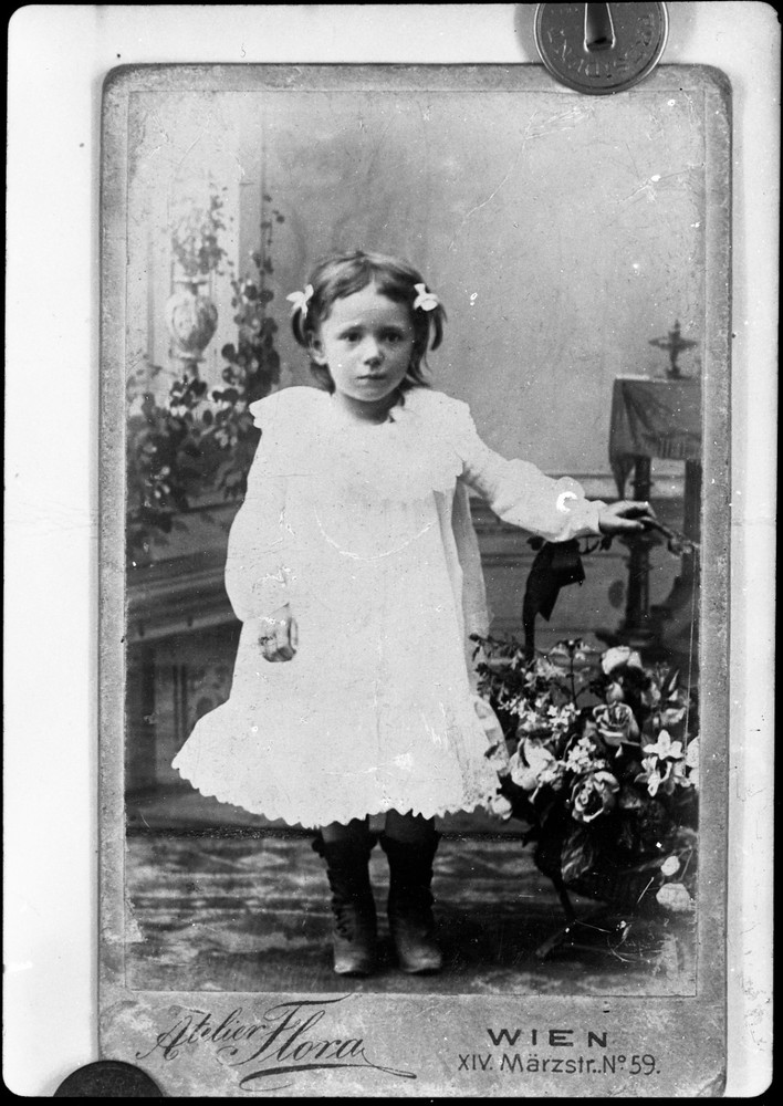 CDV on glass negative, antique reproduction, unusual, vintage fine art GLASS ne