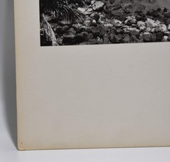 Vintage J.W. Howlett Black and White Photograph Focusing on a Beach