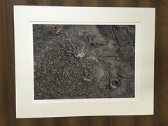 BRUCE BLUM SIGNED COLOR Photo Print (22″X 28″)-«Pokeohoe Lava 41 «