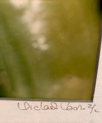 Set of 4 Original Photographs FOR KITCHEN signed and matted Eggplant Radish etc
