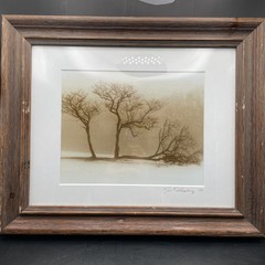 “Cycle Of Life” Photograph Signed By Neil T Humphrey 1998 Framed 11”x14”