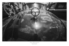 Photographic 20×30 Poster The Ornament Unframed