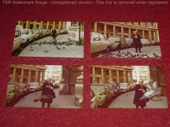 Coll. Besnardeau Madeleine BOURRET Governess Of Jean Cocteau 1977 The Pigeons