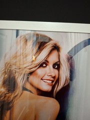 Olivia Newton John posing for Xanadu 26 / 36.5 Framed & ready to hang